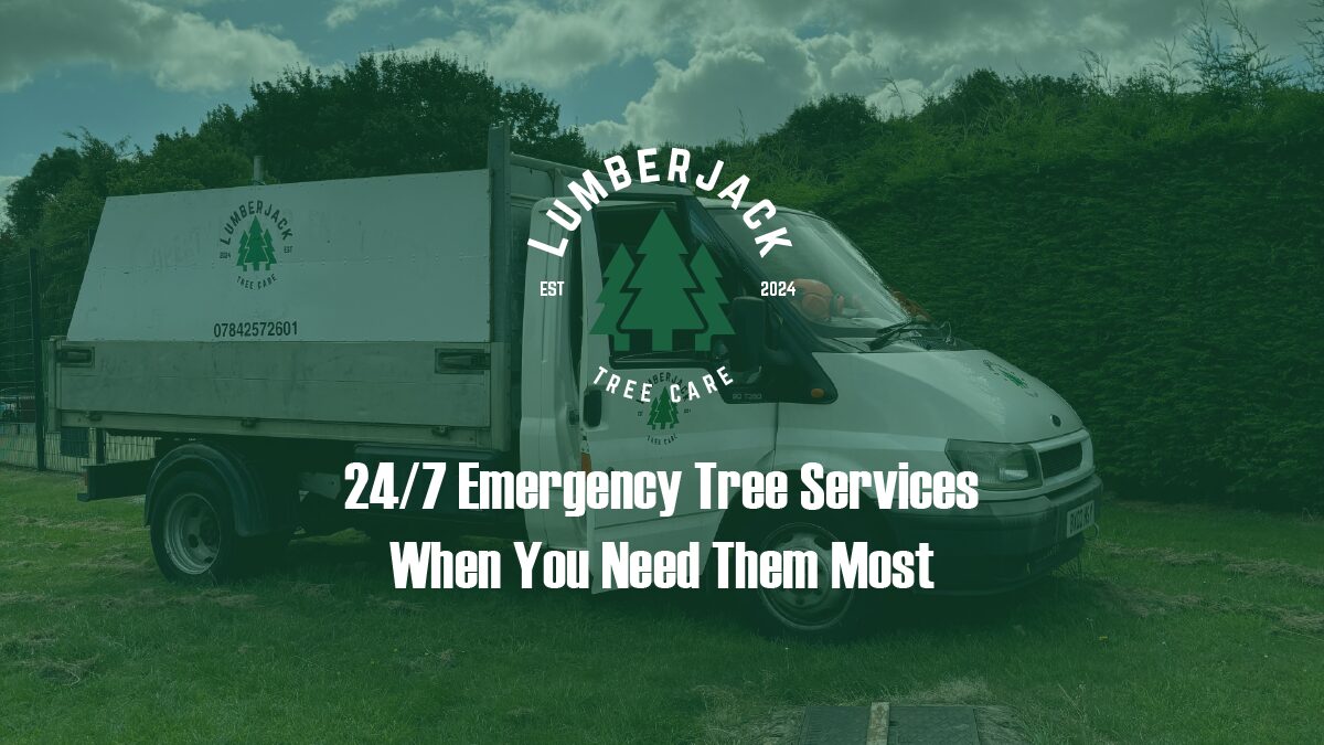 24/7 Emergency Tree Services in the Midlands | Fast, Reliable Response
